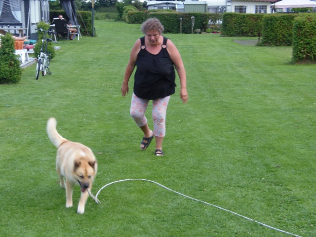 ../fotos/het_verlaat_2017/2017-07-15 19.06.07.jpg